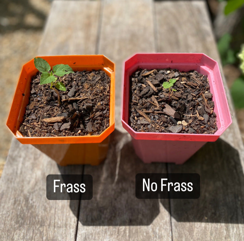 The Ever Hopeful Gardener's All-Natural Plant Food
