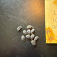 Luffa Seeds