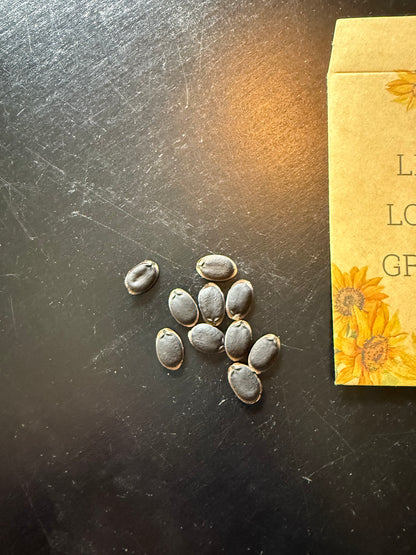 Luffa Seeds